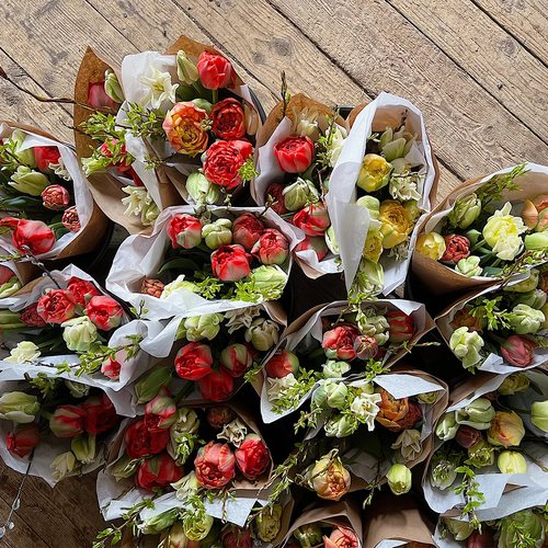 Abonnement de printemps