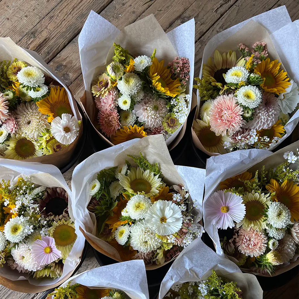 Abonnement saison complète 2026