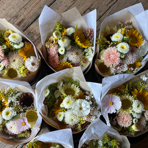 Abonnement saison complète 2026